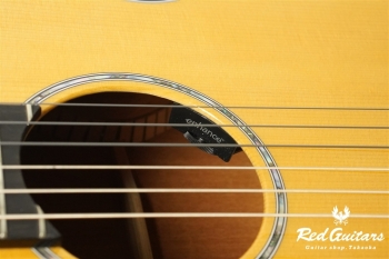 00-Nylon w/FISHMAN Matrix VT Enhance